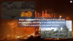 wildfires in the Los Angeles