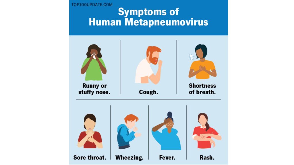 The symptoms of human metapneumovirus are often similar to the common cold.