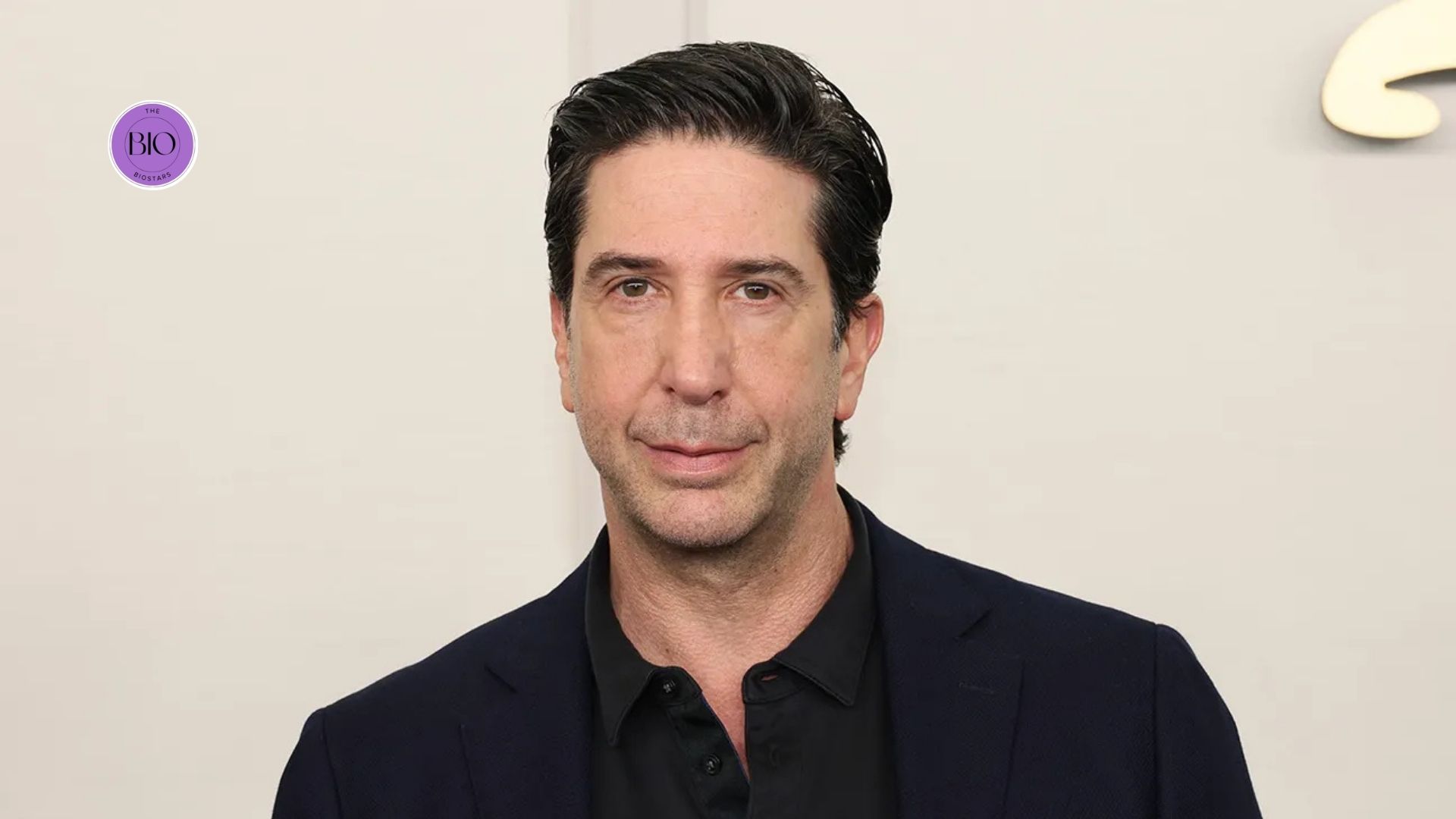 david schwimmer