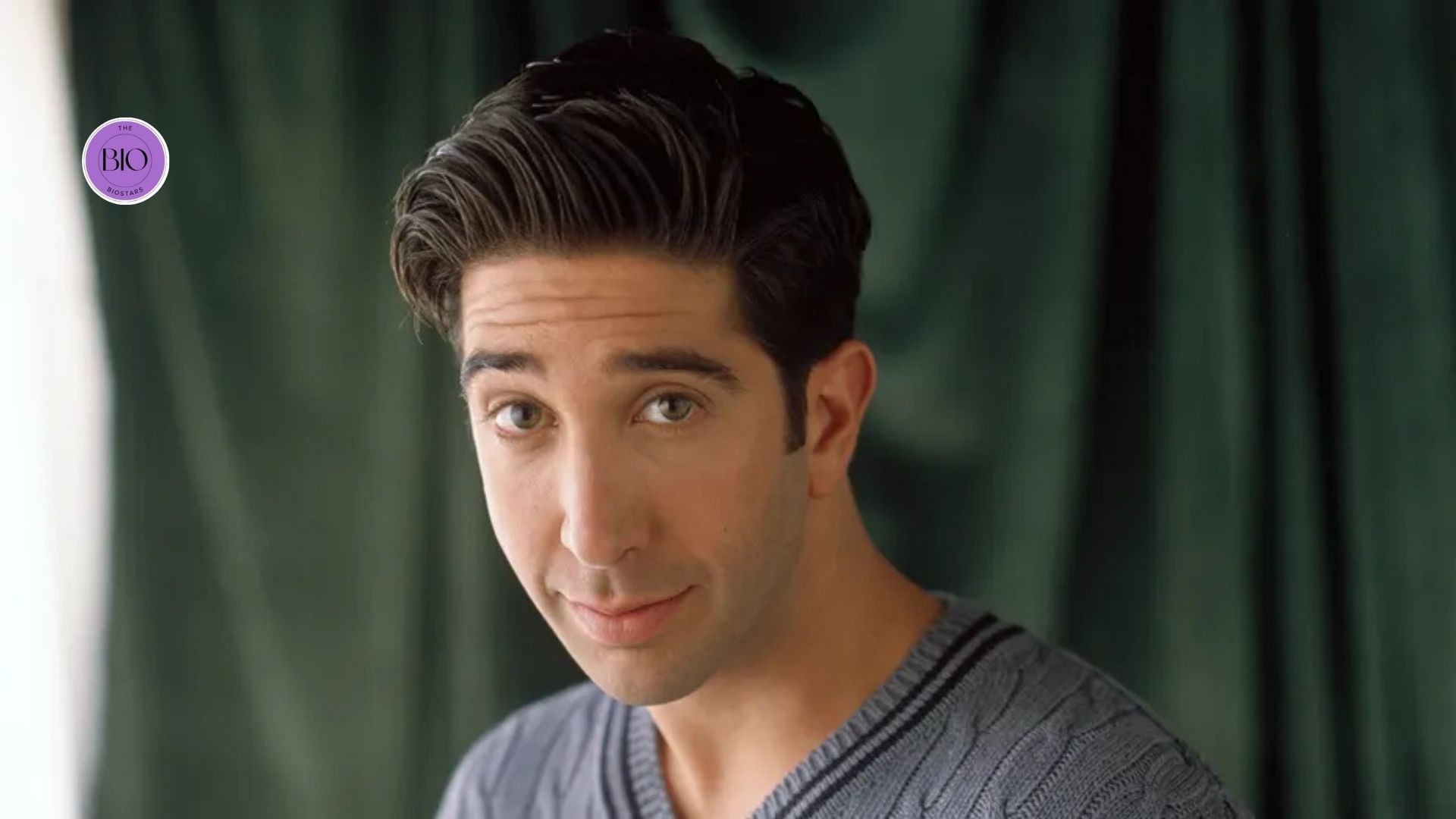david schwimmer