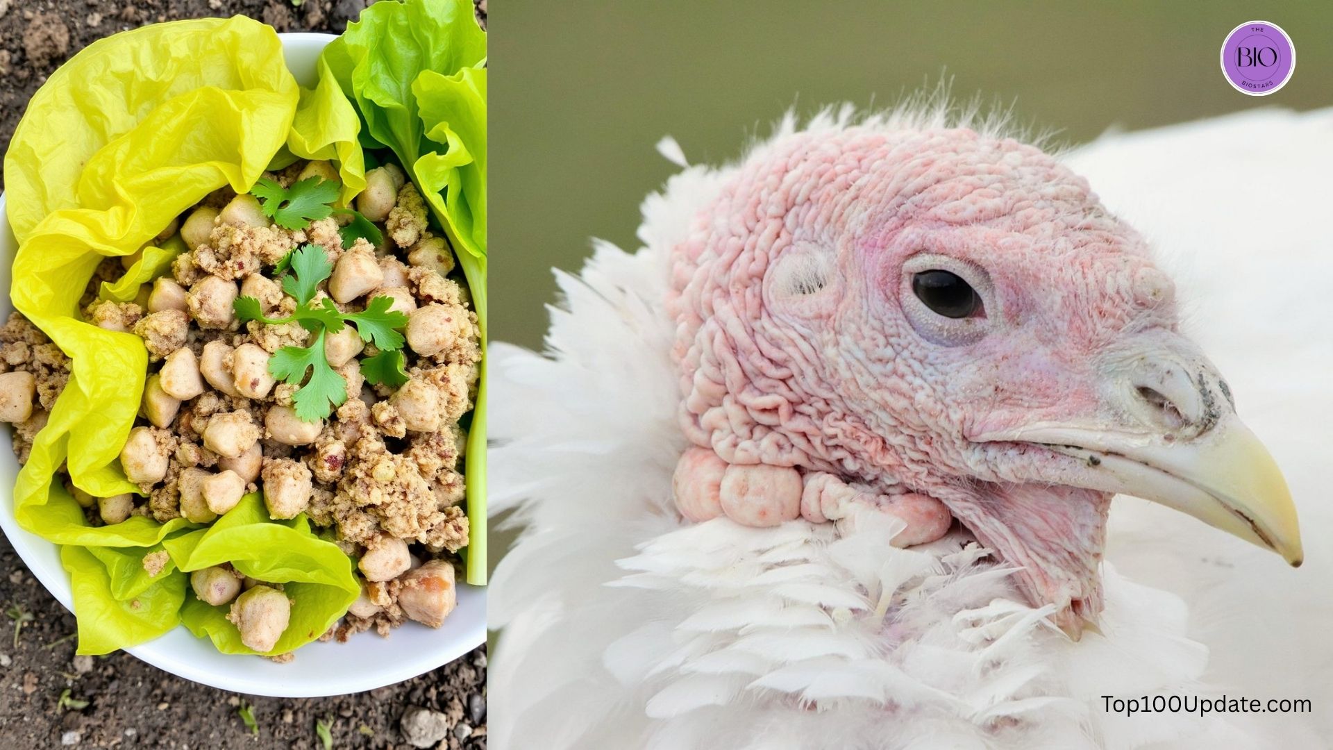 Ground Turkey (Lean 93% or 99%)