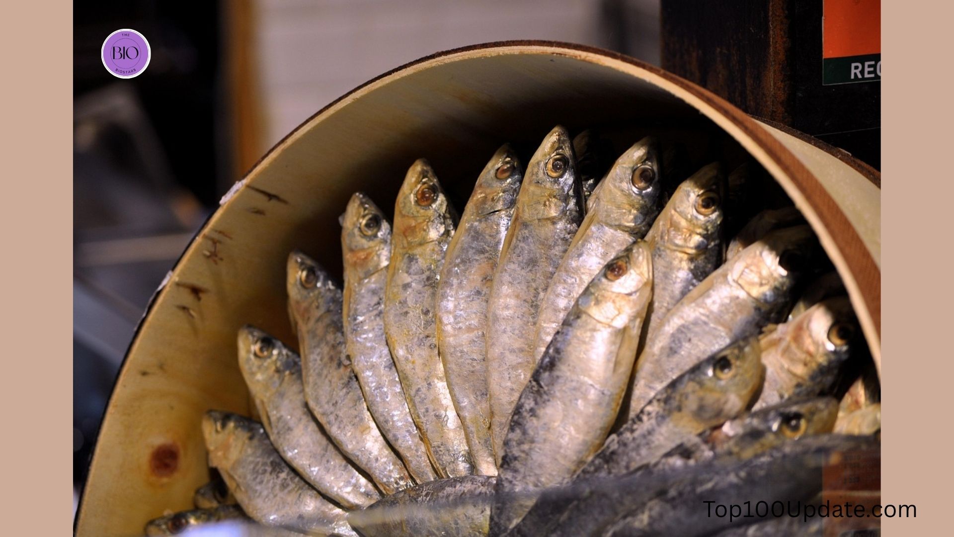 Canned Tuna