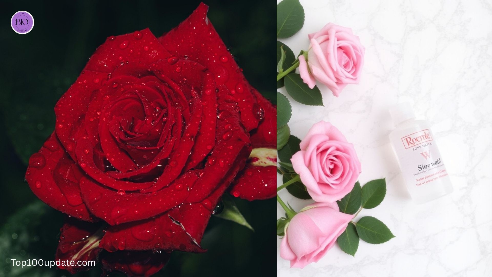 Rose Water: The Natural Toner