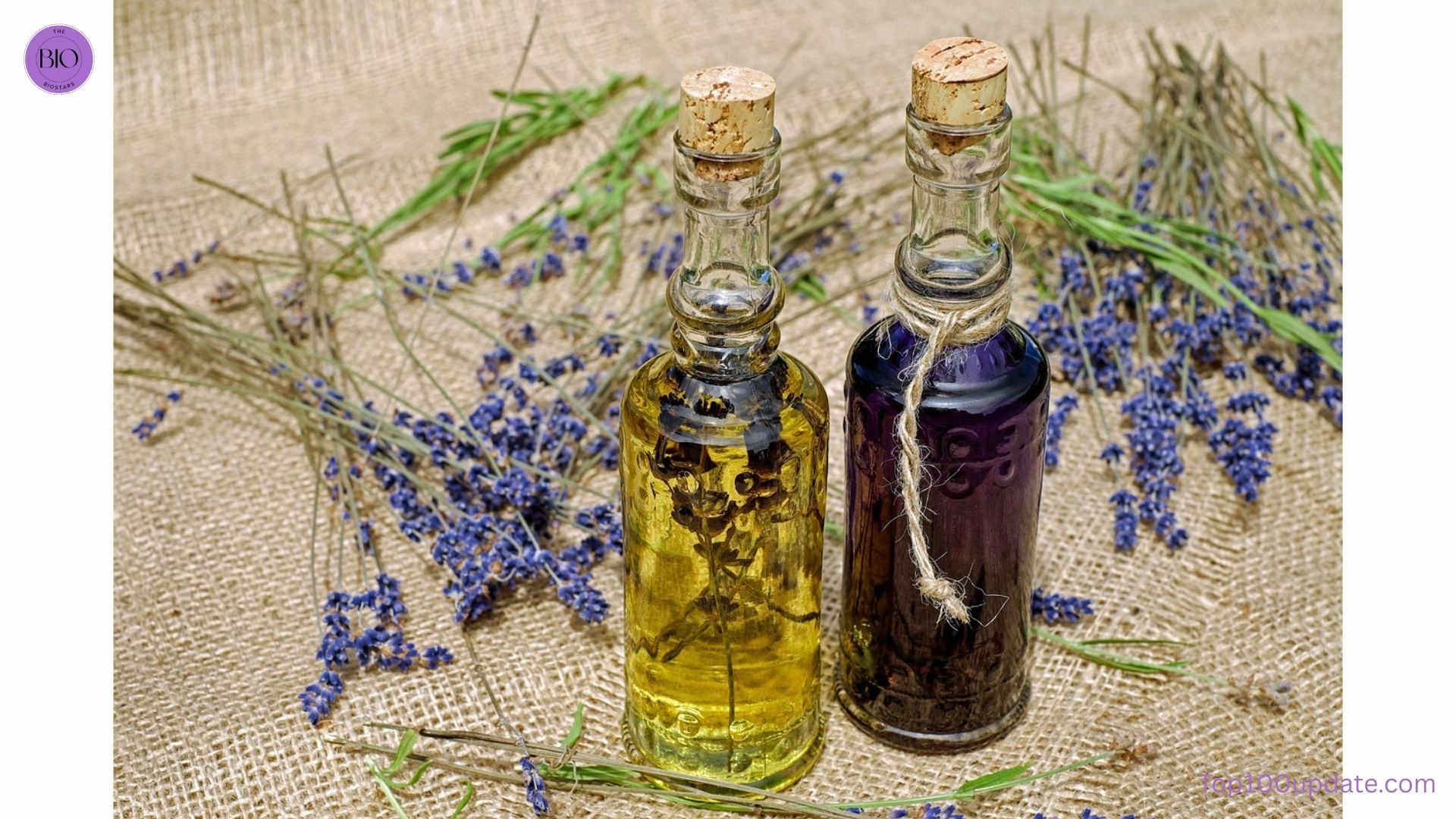 Top 7 Natural Hair Care Remedies