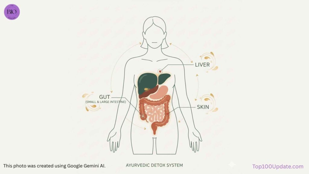 Ayurvedic Body Detox