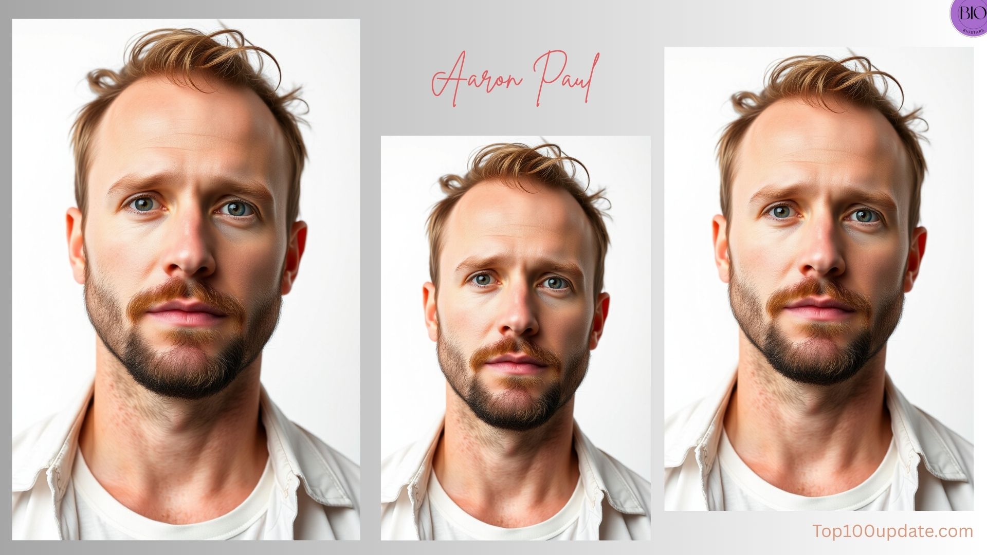 aaron paul net worth