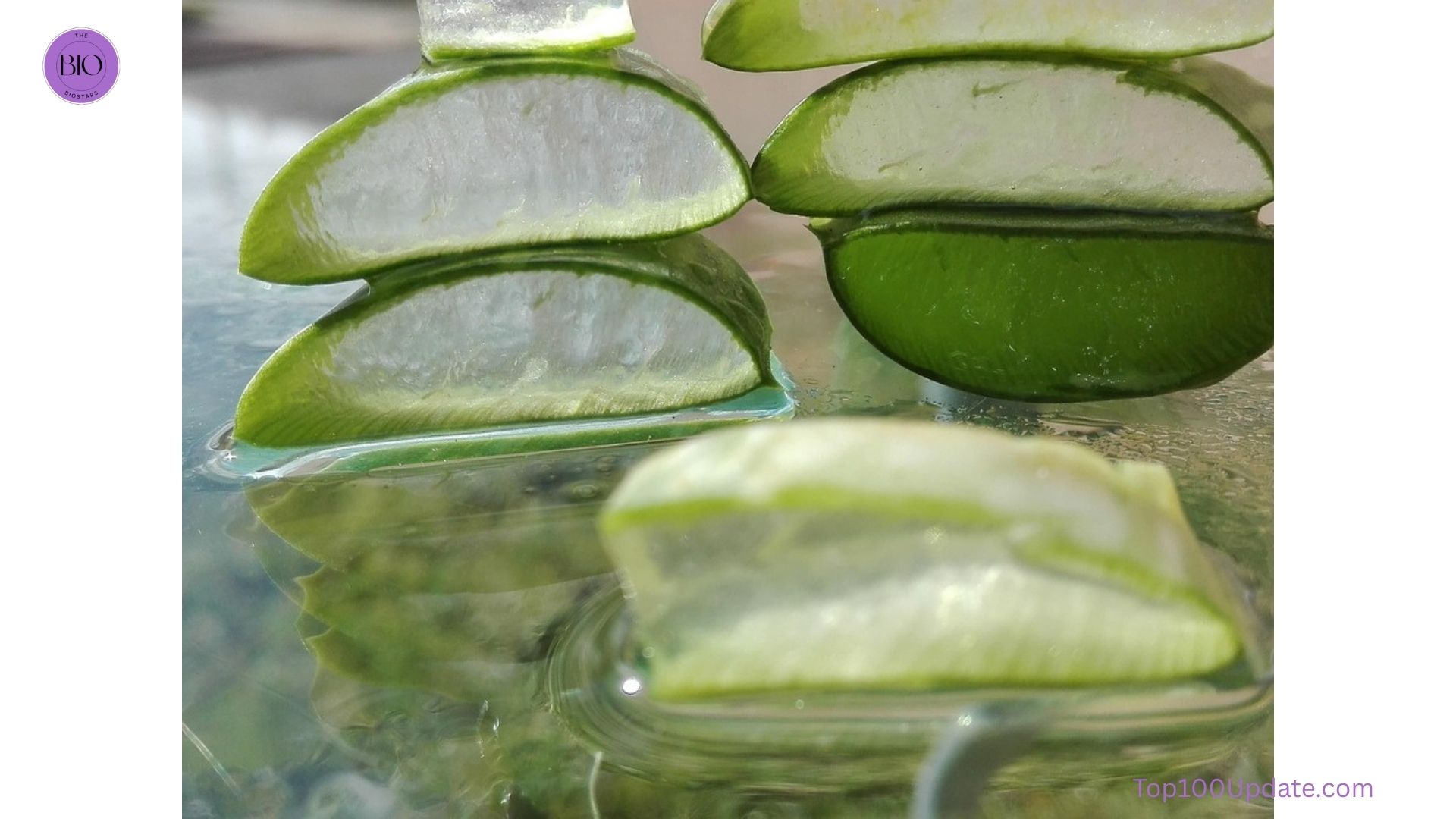 Aloe vera gel and leaf for deep hydration and healing